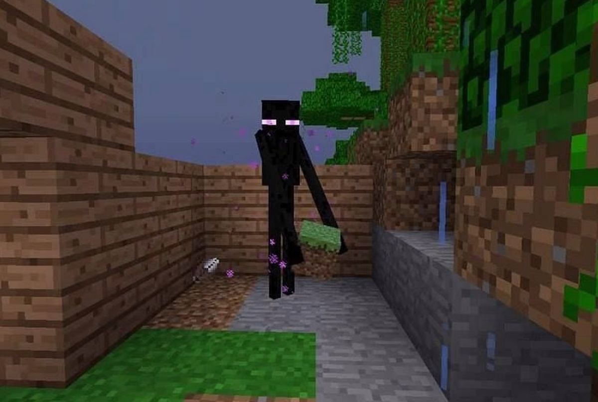 What Blocks Can An Enderman Pick Up In Minecraft