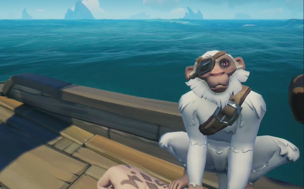 10 Best Pets in Sea of Thieves