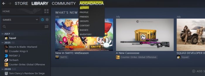 Your Account’s Games Activity on steam