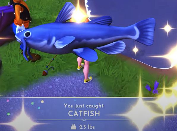 Catfish