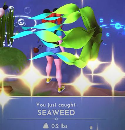 Seaweed 