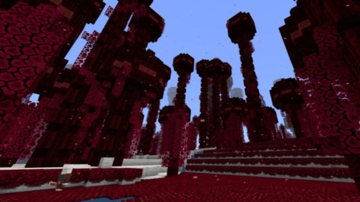 One of the new biomes in Zalcyan's Quest.