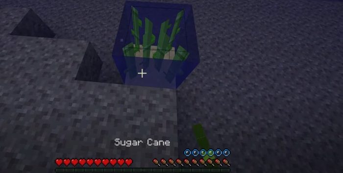 Sugarcane and sand underwater minecraft