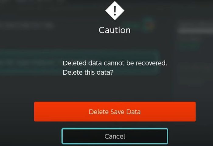 Last Data Deletion Warning Message Pokémon Scarlet and Violet