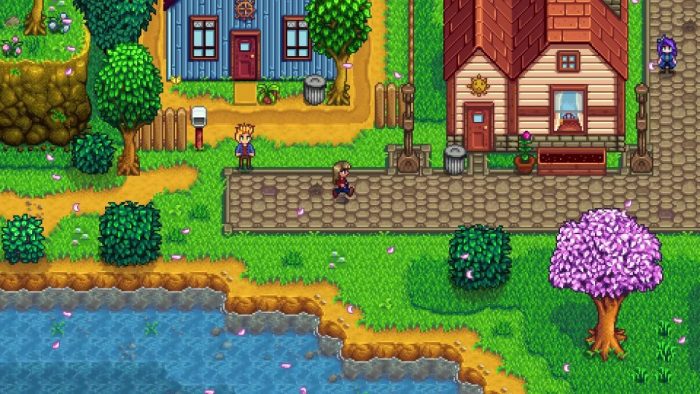 Walking through the town in Stardew Valley