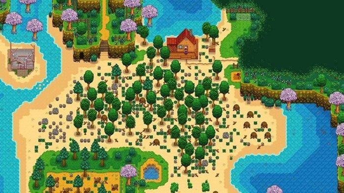 Beach farm starting location in Stardew Valley.