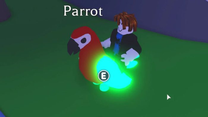 Parrot in Roblox Adopt Me.