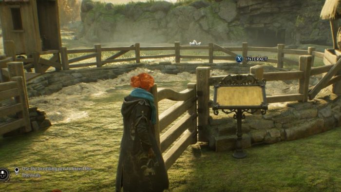 Interact with the breeding pen to breed beasts in Hogwarts Legacy.