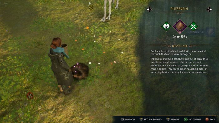 Feed and pet tamed Puffskein to get Puffskein Fur in Hogwarts Legacy.