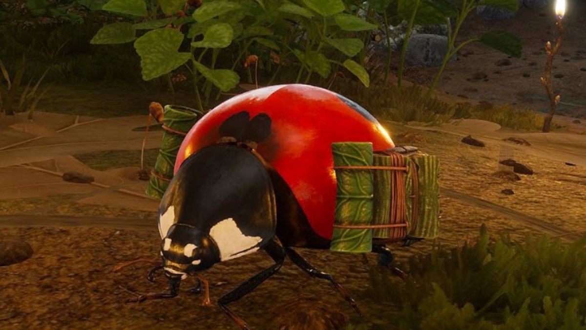 How to Tame a Ladybug in Smalland: Survive the Wilds