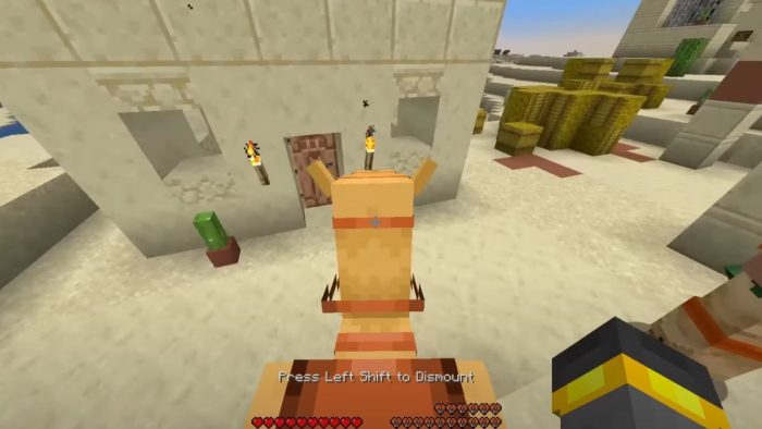 Find a Camel in every Desert Village in Minecraft.