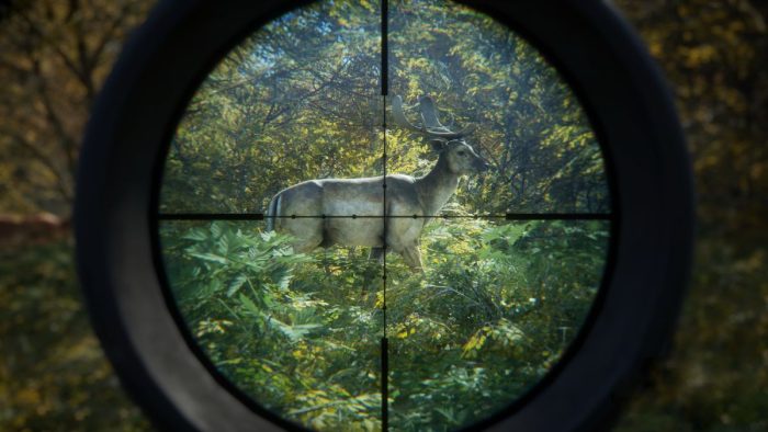 Best tips and tricks for beginners in theHunter Call of the Wild.