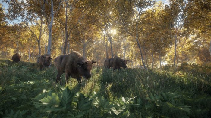 Best tips and tricks for beginners in theHunter Call of the Wild.