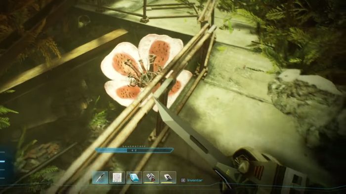 Forever Skies: How to Get Past Flowers