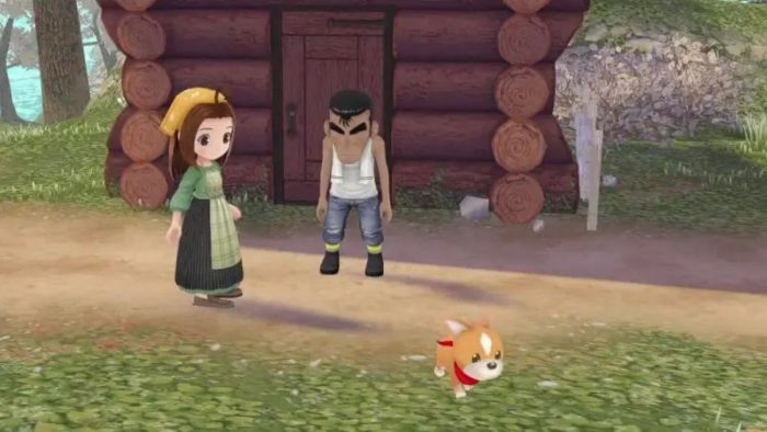 Story of Seasons A Wonderful Life Cecilia romance guide.