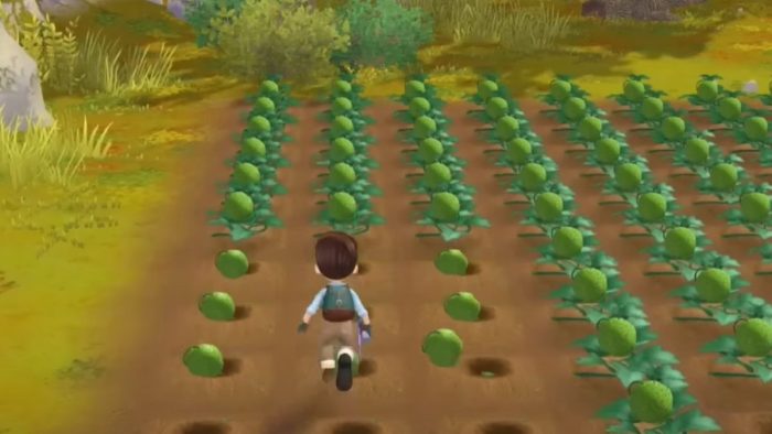 How to upgrade tools in Story of Seasons: A Wonderful Life.