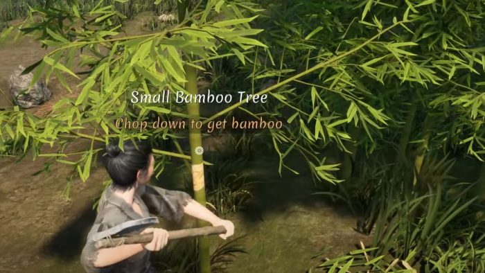 How to get Bamboo and Straw in Sengoku Dynasty.