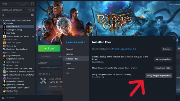 Baldur’s-Gate-3-Screen-Flickering-on-PC-Here’s-How-to-Fix-Verify-the-File-Integrity-on-Steam