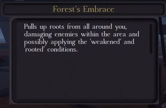 forests embrace