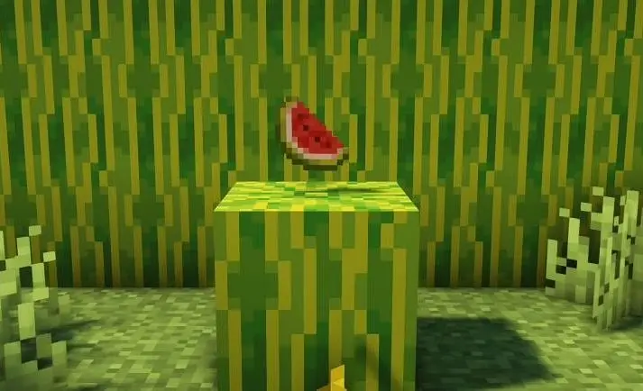 Melon in Minecraft