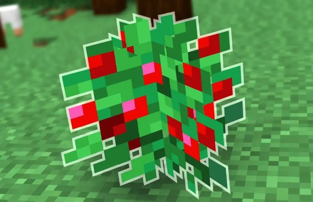 Sweet berries in Minecraft